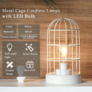 9.5''H Decorative Table Lamp Metal Cage Cordless Lamps