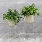 18"&21.5" H Gray Flower Pot With Stand (Set Of 2)