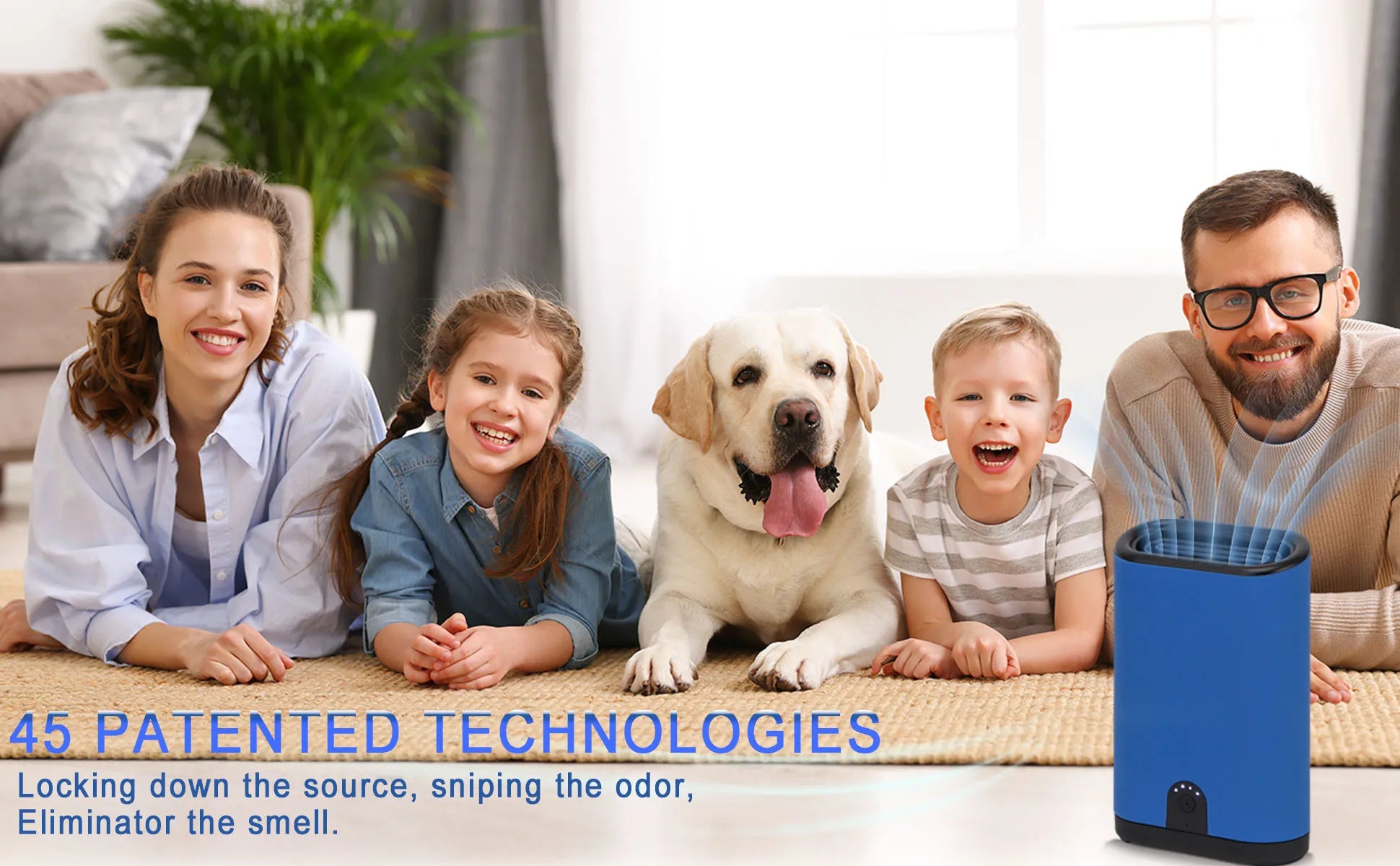 Battery Powered Ozone Generator -1