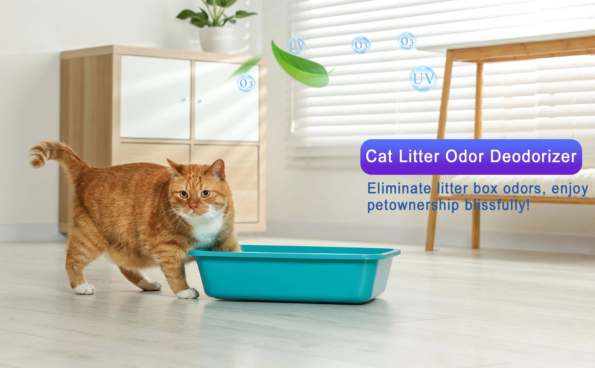 Portable Air Purifier-2