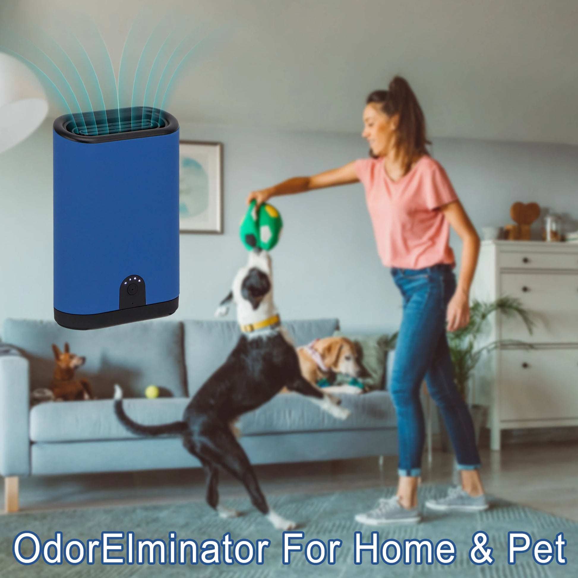 Portable Ozone Generator -4