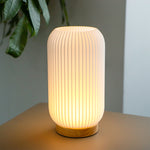 battery powered lamp-14