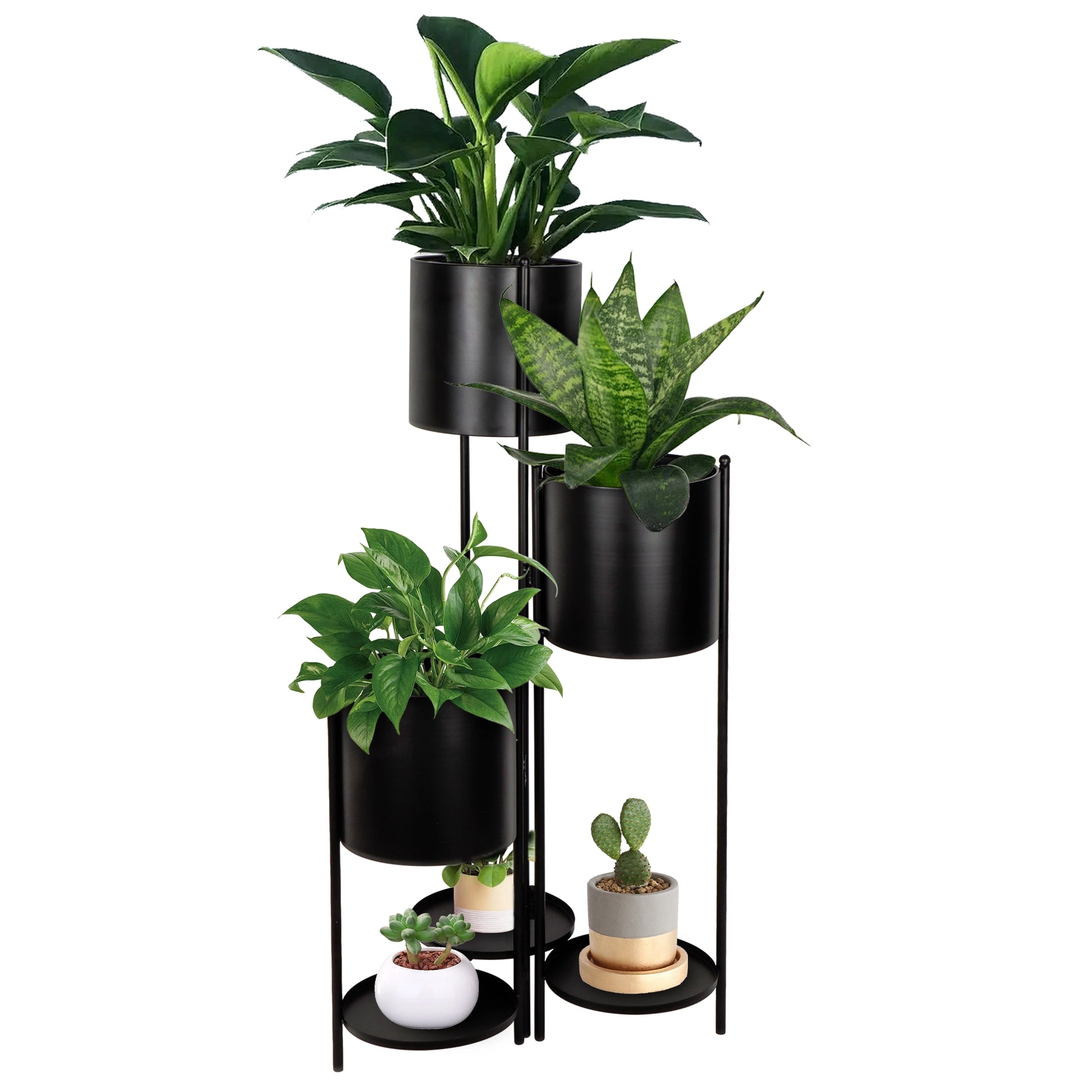 modern plant pot