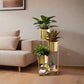 modern plant pot