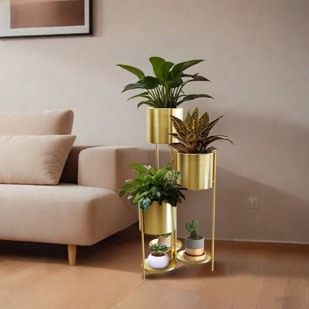 modern plant pot