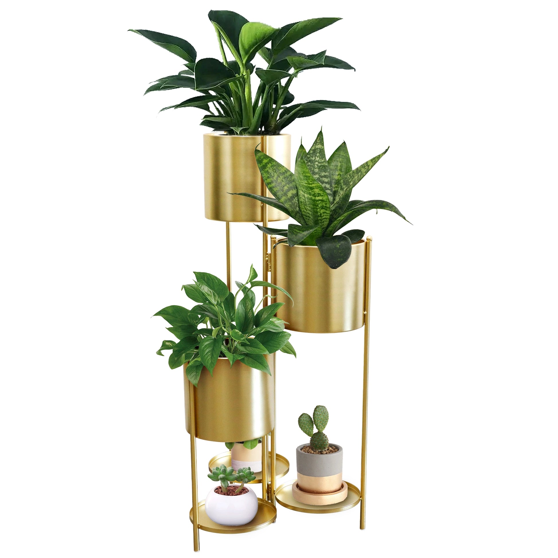 modern plant pot