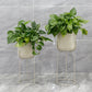 plant stand with pot-7