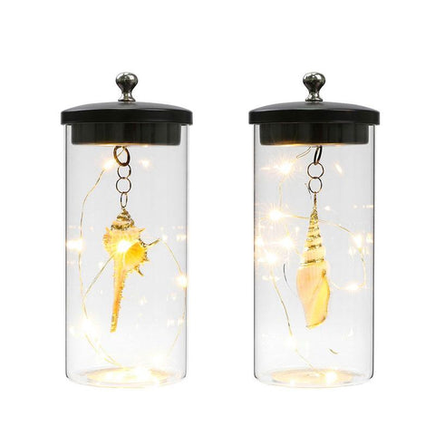 7" Tall Battery Powered Sea Shell Pendant Decorative Lamp（Set of 2） 